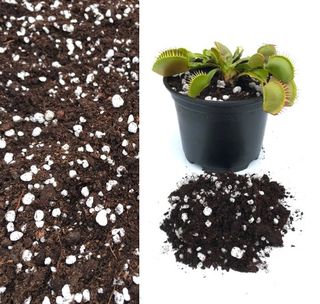 Premium Carnivorous Plant Soil Compost