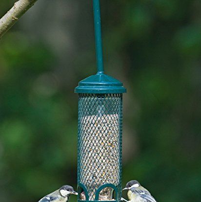 9 Gorgeous Glass Bird Feeders for Your Yard - Birds and Blooms