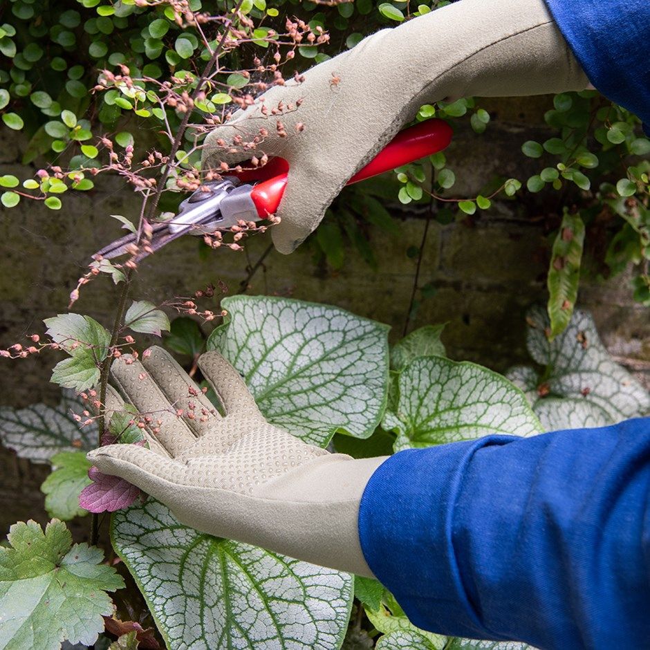 Everyday gardening gloves 