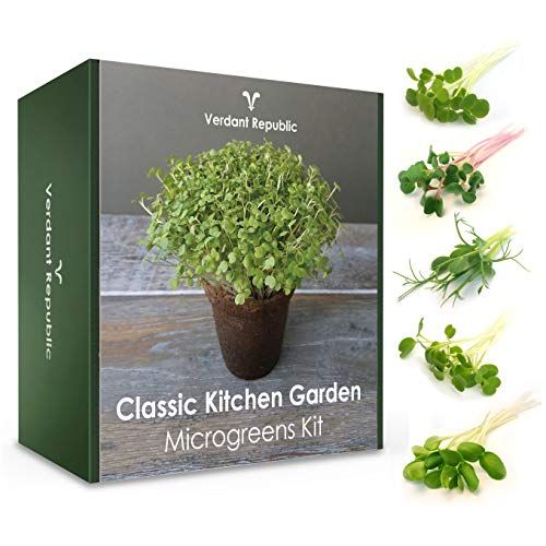 Grow Your Own Microgreens Starter Kit