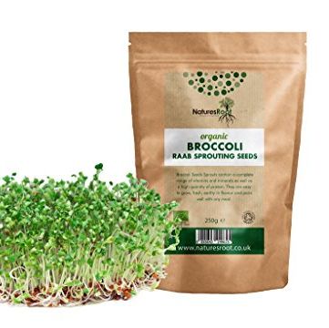 Natures Root Organic Broccoli Sprouting Seeds