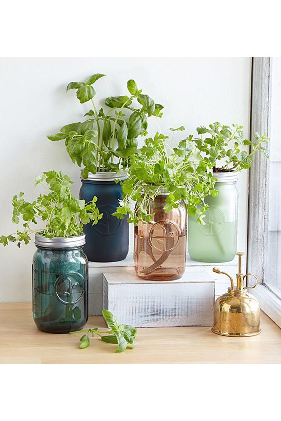 Mason Jar Indoor Herb Garden