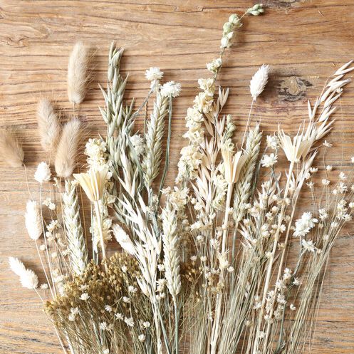 Aldi Launches Dried Flowers For £30 — Aldi Offers