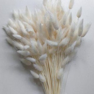 Bleached white bunny tails Bleached white bunny tails