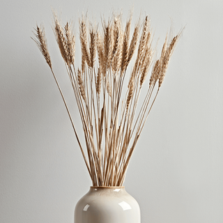 Dried Wild Wheat Bunches