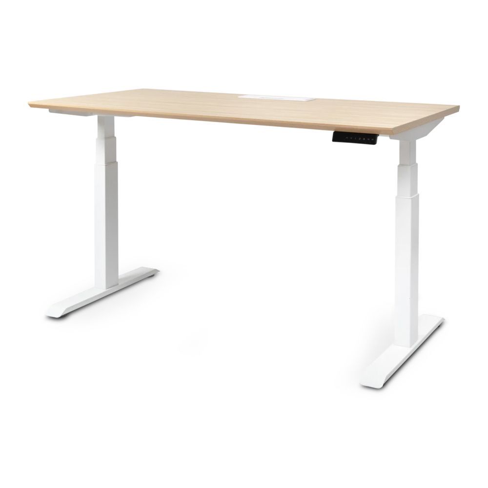 8 Best Standing Desks of 2021 - Standing Desk Reviews