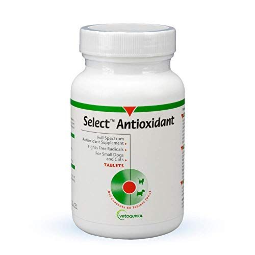 Canine antioxidant best sale vision supplement