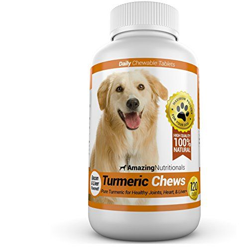 9 Best Supplements for Dogs 2022 - When You Should Buy Dog Vitamins for  Canine Health