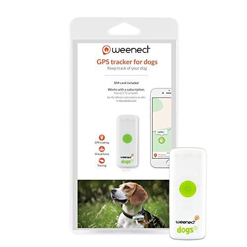 World's smallest GPS tracker for dogs