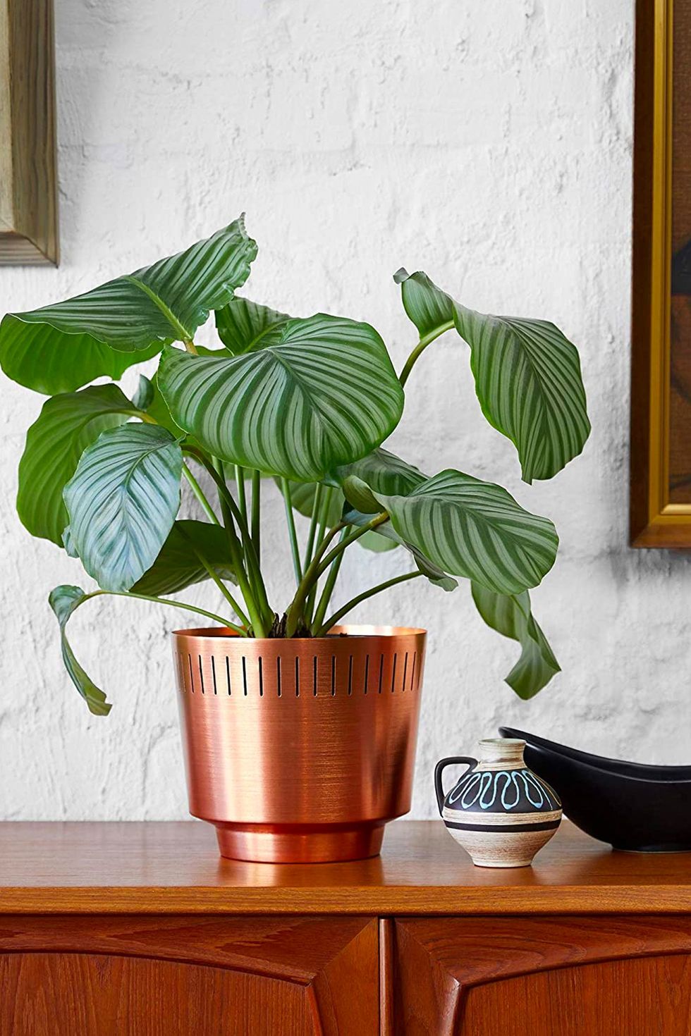17 Cute Planters to Level up Your Apartment