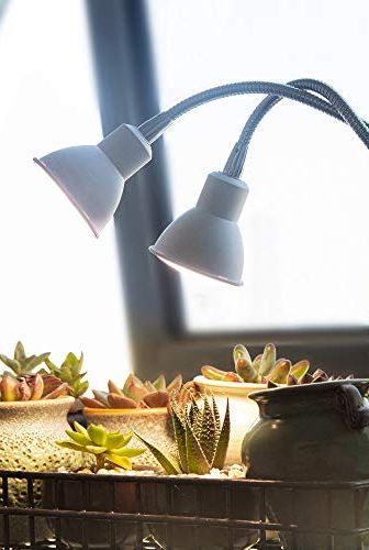 Søg Tilfredsstille tirsdag 15 Best Plant Grow Lights - LED Grow Lights for Indoor Plants