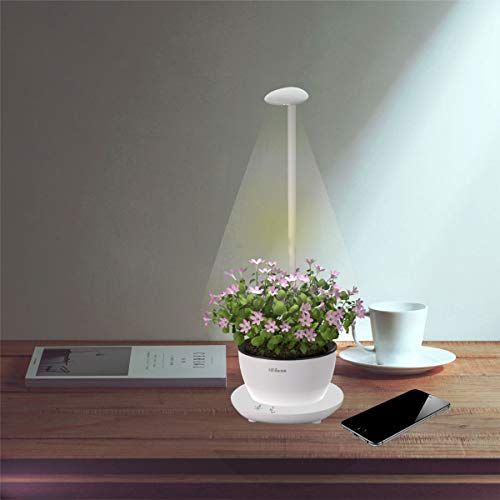 Desktop grow outlet light