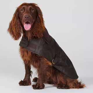 Barbour waxed dog coat, dark brown