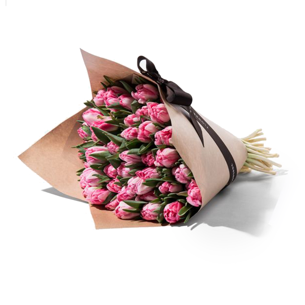 Princess Pink Double Tulip