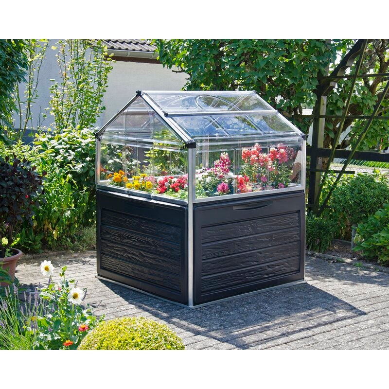 Mini Greenhouse