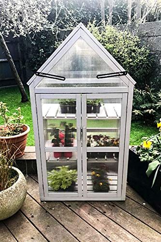 Kitchen Greenhouse