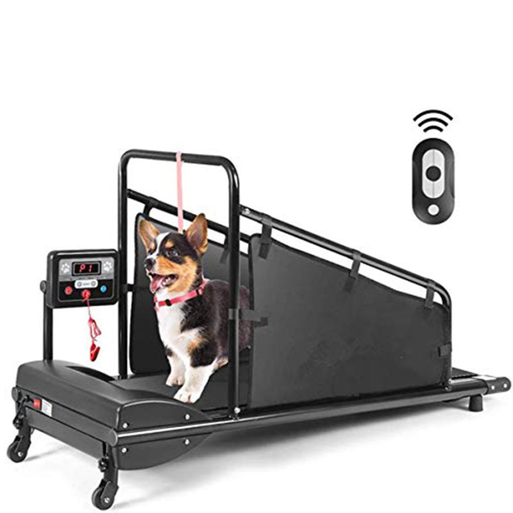 Goplus dog treadmill sale