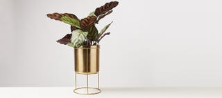 Gold Iron Plant Pot & Stand Large