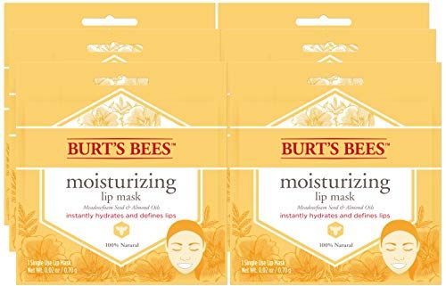 Burt's Bees 100% Natural Moisturizing Lip Mask