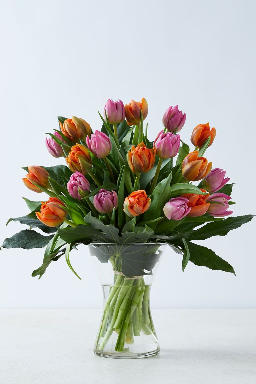 Collection Luxury Tulips Posy