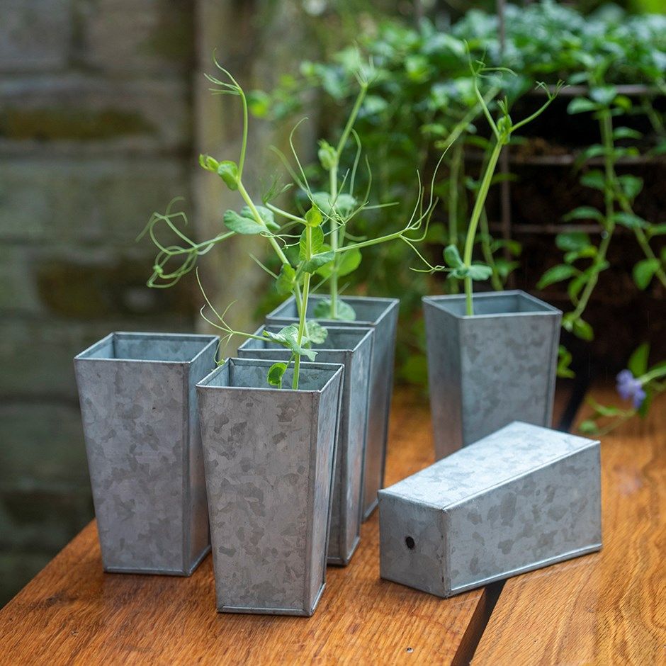 Set of 6 tall galvanised root trainer pots