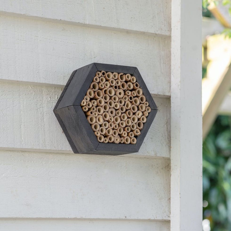 Shetland Hexagonal Bee House