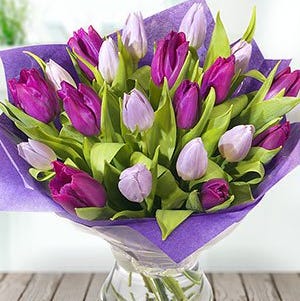 Simply Tulips
