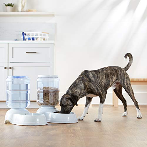 Amazon Basics Gravity Pet Food Feeder and Water Dispenser 