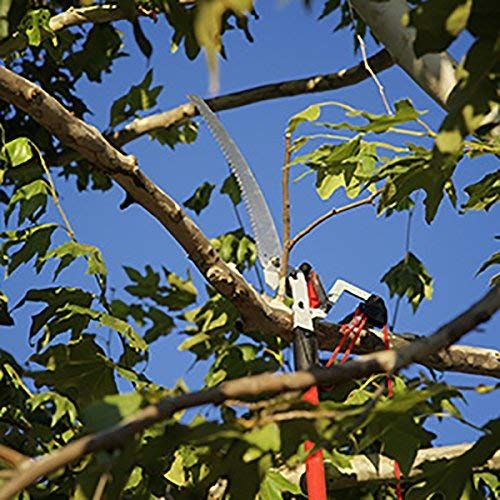 Pole Saw and Pruner