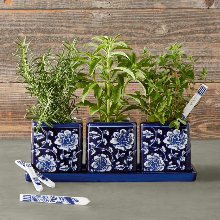 Williams Sonoma Blue & White Herb Starter Set