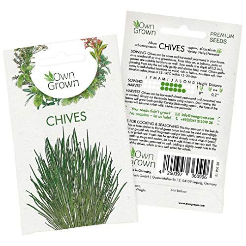 Chive Seeds (Allium schoenoprasum), Perennial Herb Plants for planting Indoor and Garden, Grow your own Chive Plant: Herb Seeds for about 400 Chive Plants by OwnGrown