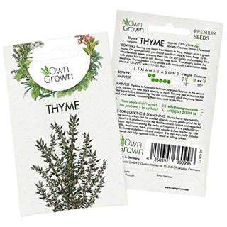 Thyme Seeds Perennial 