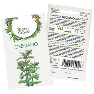 Oregano Seeds 