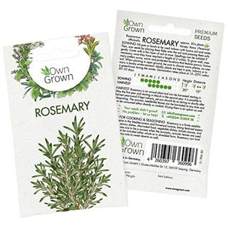 Rosemary Seeds Perennial 