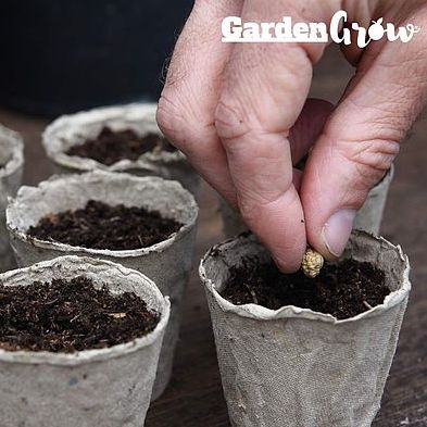 Garden Grow Fibre Grow Pots