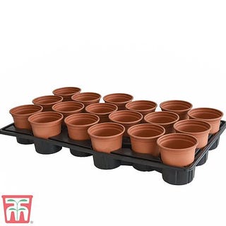 Shuttle Trays and Pots