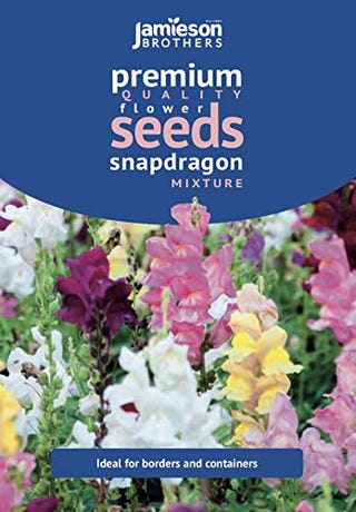 Antirrhinum Snapdragon Mixed Flower Seeds