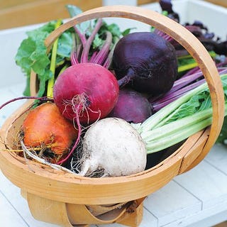 Beetroot 'Rainbow Beet' (Globe) Beta vulgaris