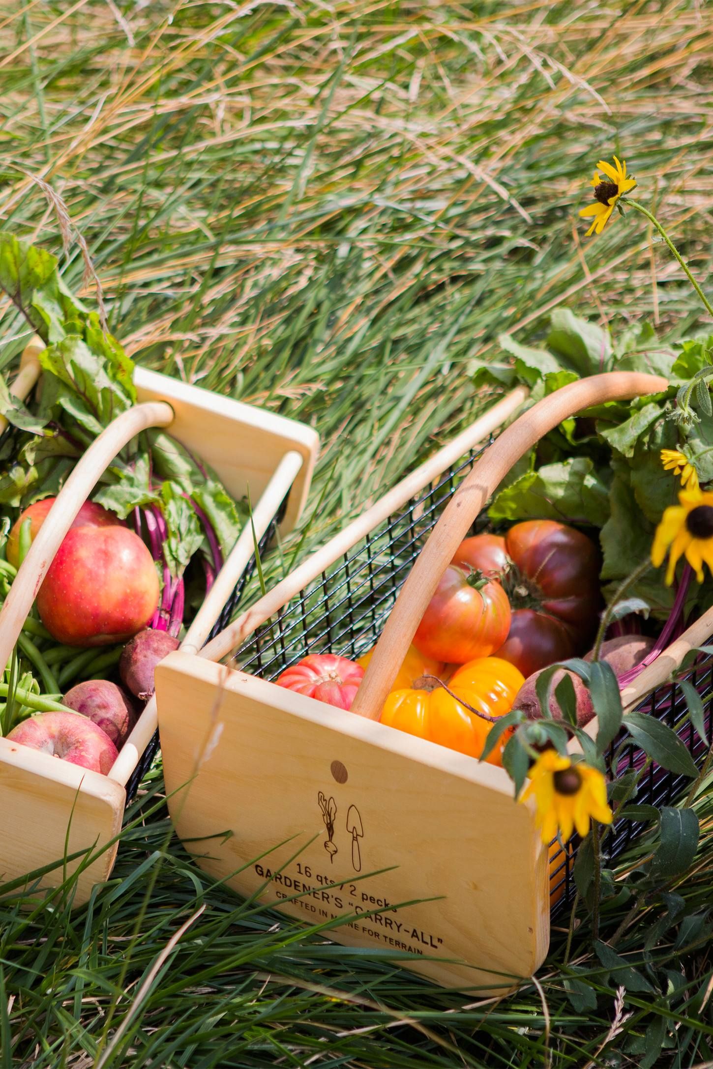 42 Best Gardening Gifts Gift Ideas, Gifts For Veggie Gardeners