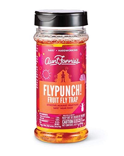 FlyPunch Fruit Fly Trap