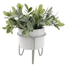 Bayswood Greenery In White Pot & Stand 