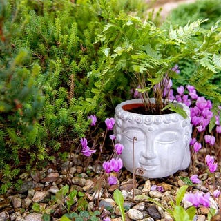 Buddha Flower Pot