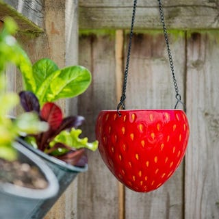 Large Fruit Flower Pot