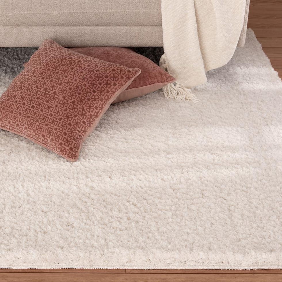 12 Best Places to Buy Cheap Rugs Online 2021 — Cute, Affordable Rugs to