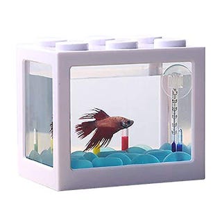 Si lo tuyo son los peces... Si lo tuyo son los peces...