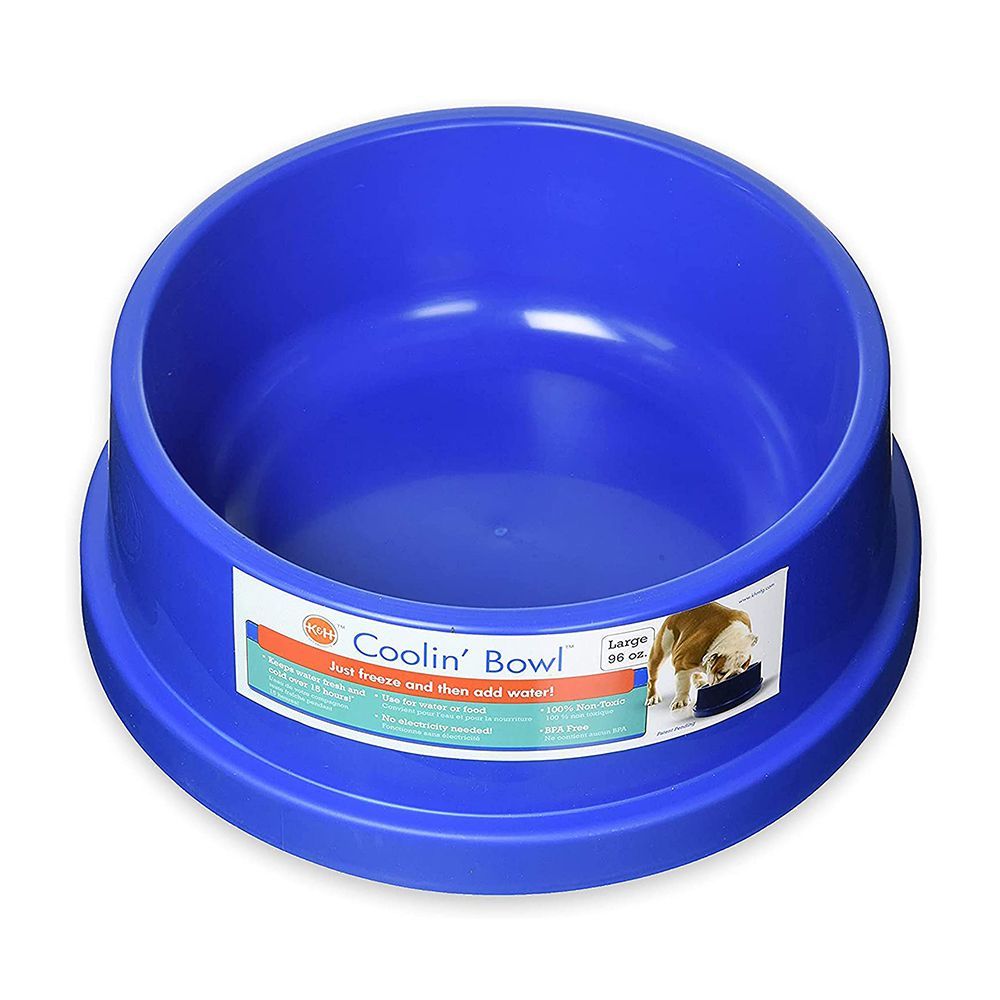 Cooling pet 2025 water bowl