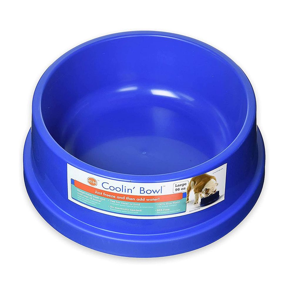 This Pet Bowl Will Keep Your Dog's Water Cool for 15 Hours, So