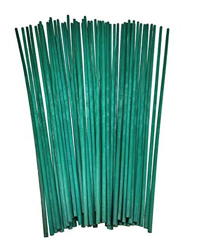 Britten and James 30cm Plant Support Bamboo Sticks 