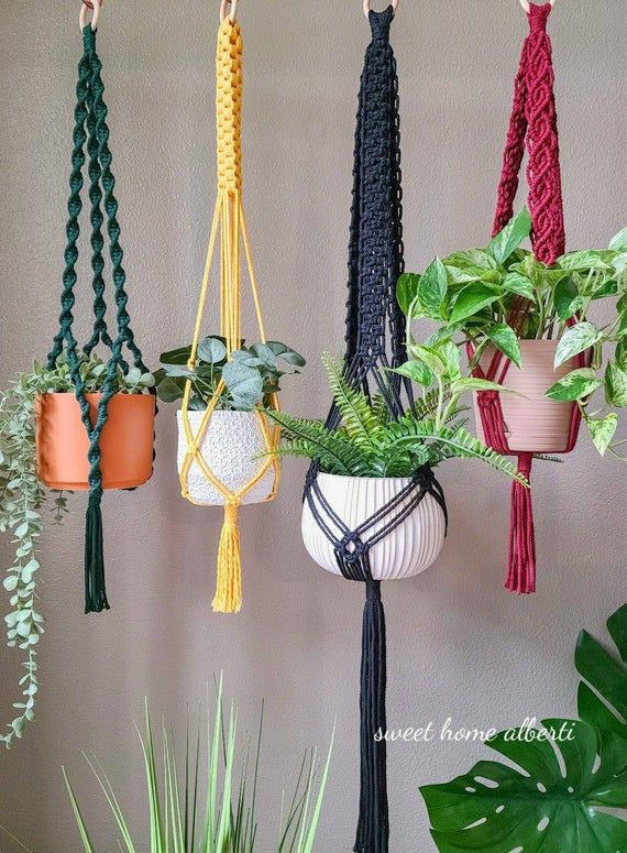 Colorful Plant Hangers 