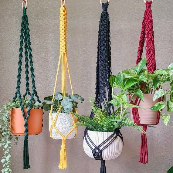 Vibrant plant hangers